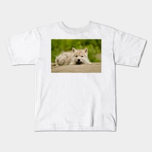 Arctic Wolf Pup Kids T-Shirt